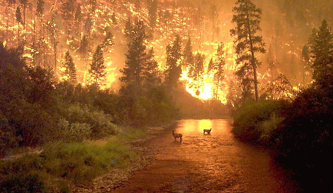 incendio